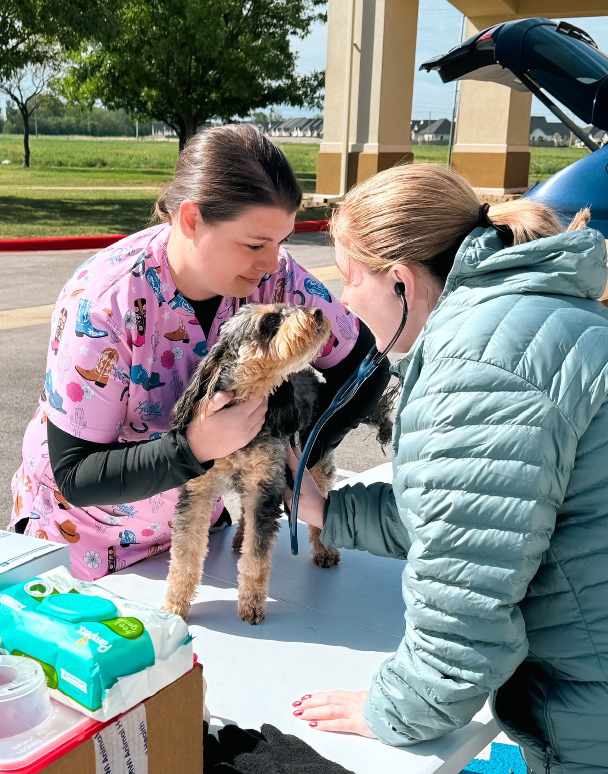 vet and staff examining a dog